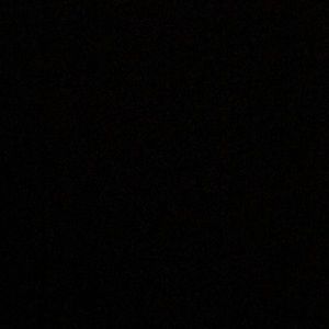 Meet your Posher, Jamia